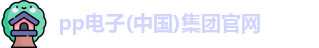 pp电子首页